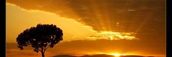SonsOf_Light's profile banner image
