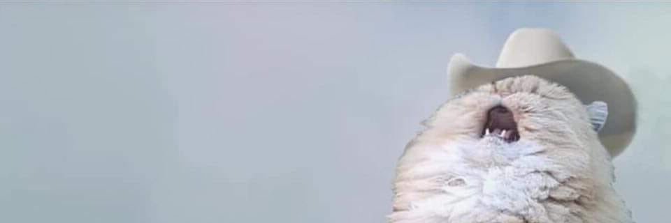 Trashfourtwenty's profile banner image