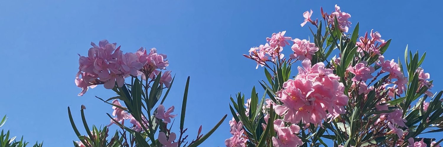 sxrahrc's profile banner image