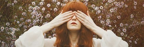 Florence da Amazônia banner