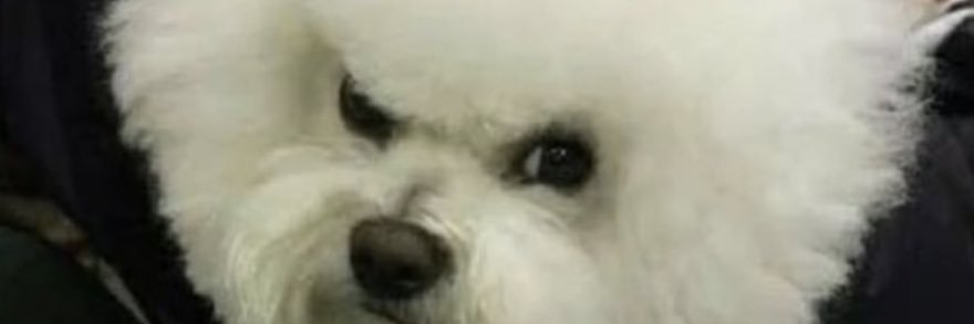 pacolean_'s profile banner image