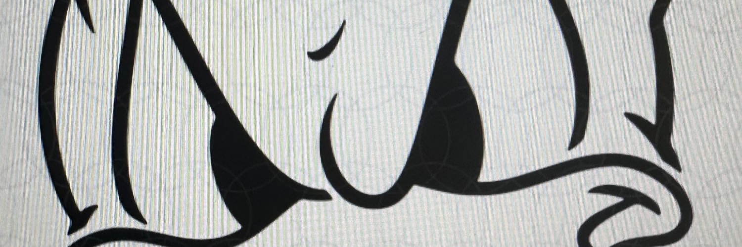 srgjread's profile banner image