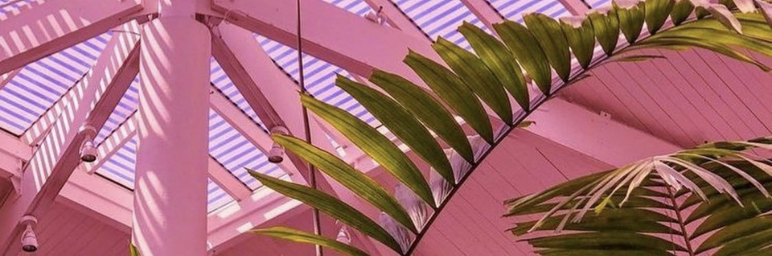 suwadst's profile banner image