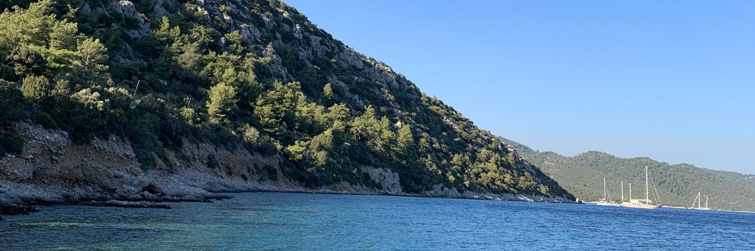 Ayşenaz Naroğlu banner