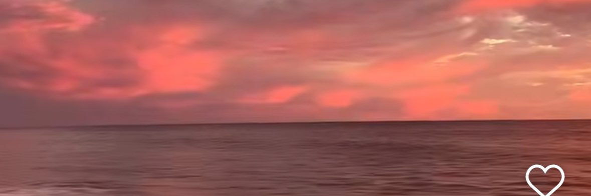 Sonia Obregon banner