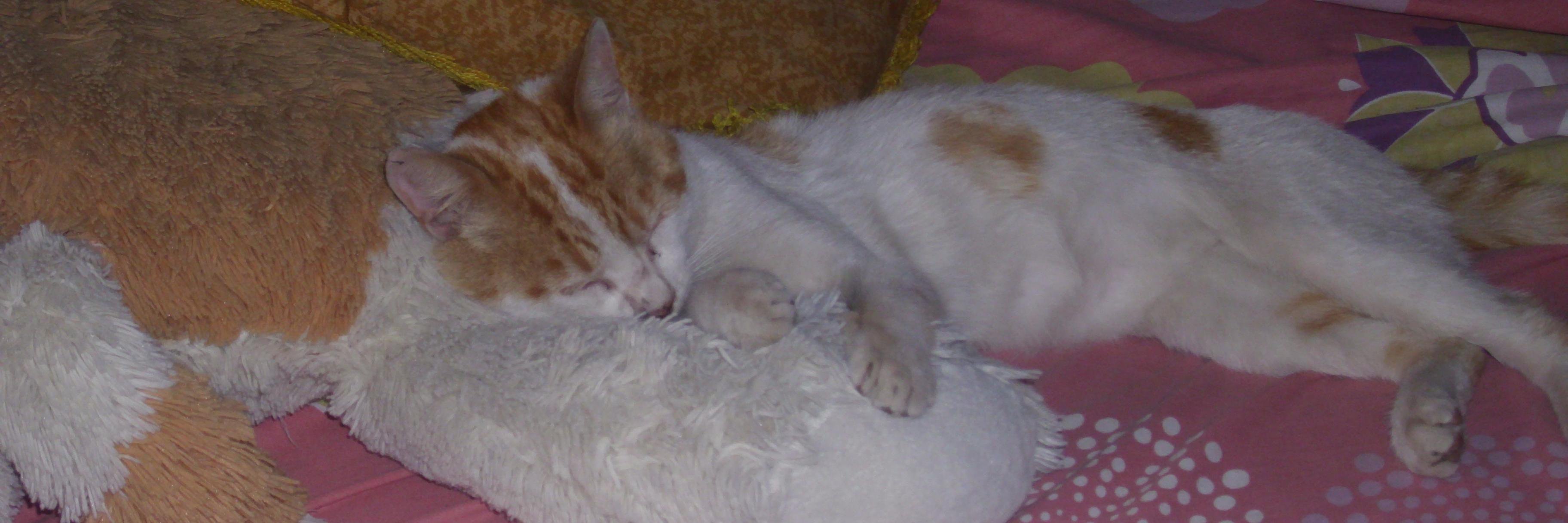 e_aromero's profile banner image