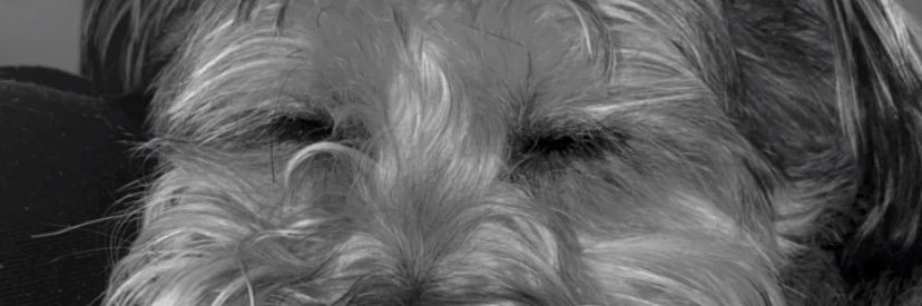 Mermanchon97's profile banner image