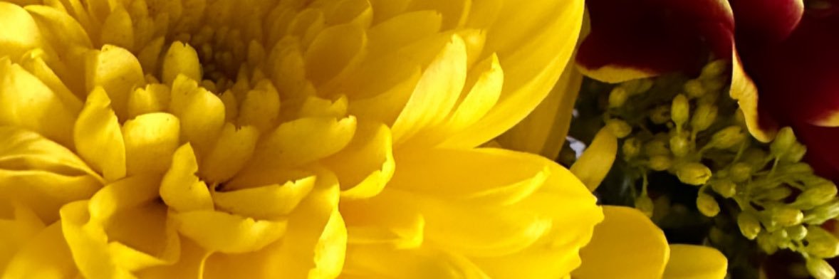 bex_hubbard's profile banner image