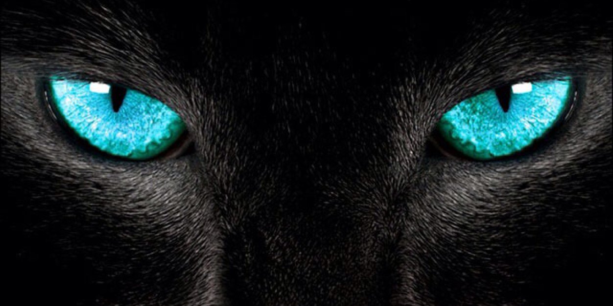 ugurtarkan's profile banner image
