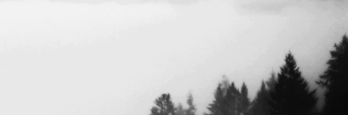 xjustcatchmee's profile banner image