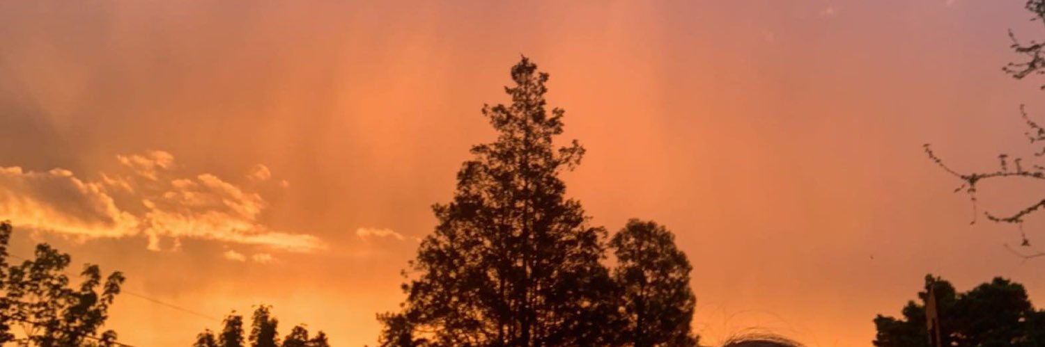 nsoforic's profile banner image