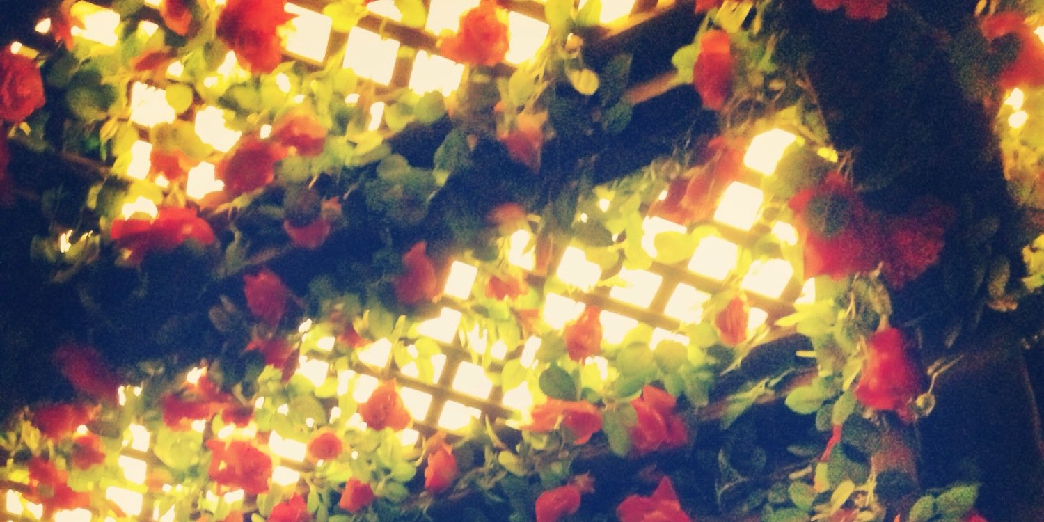 tofumental_m's profile banner image