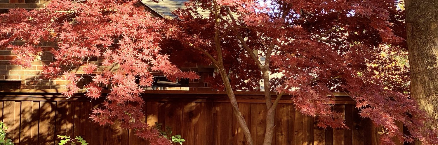 kdseekerjust's profile banner image