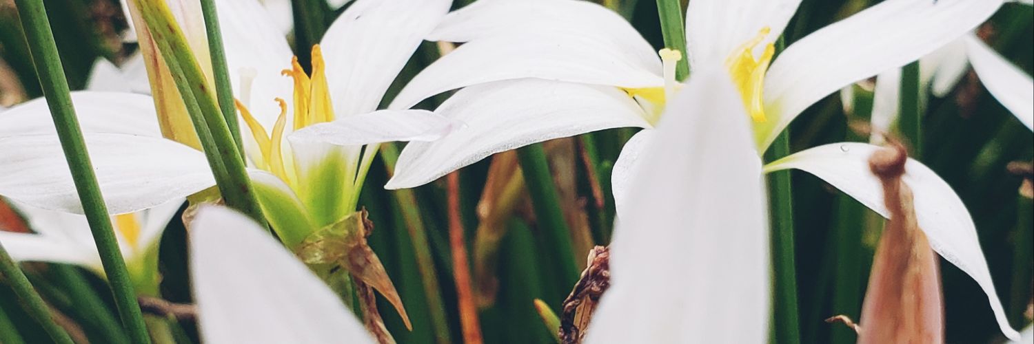 mpderkach's profile banner image