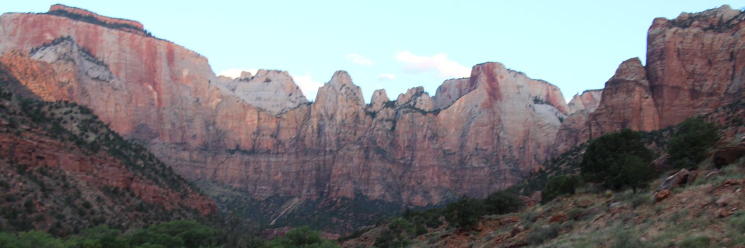 Vivek V. Mistry banner