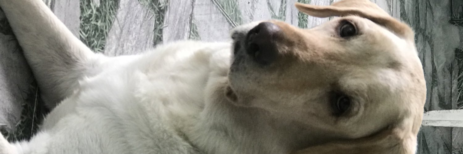 BrunoSantos72's profile banner image