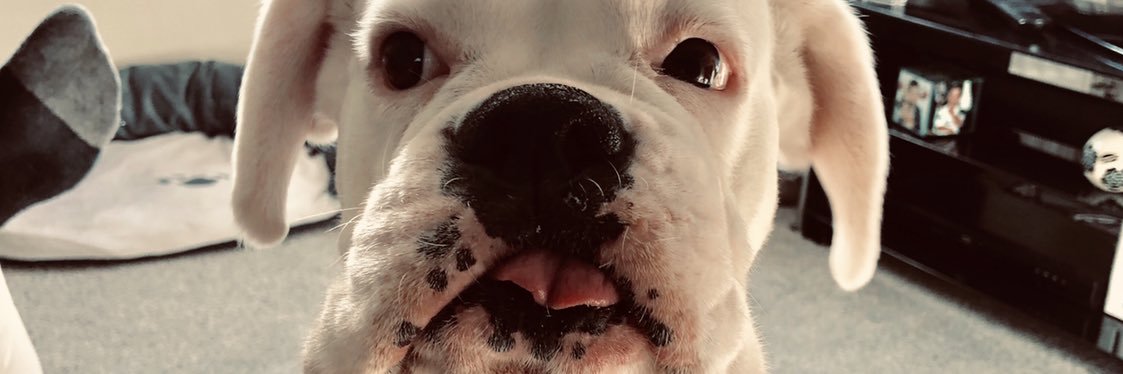 aidfthc's profile banner image