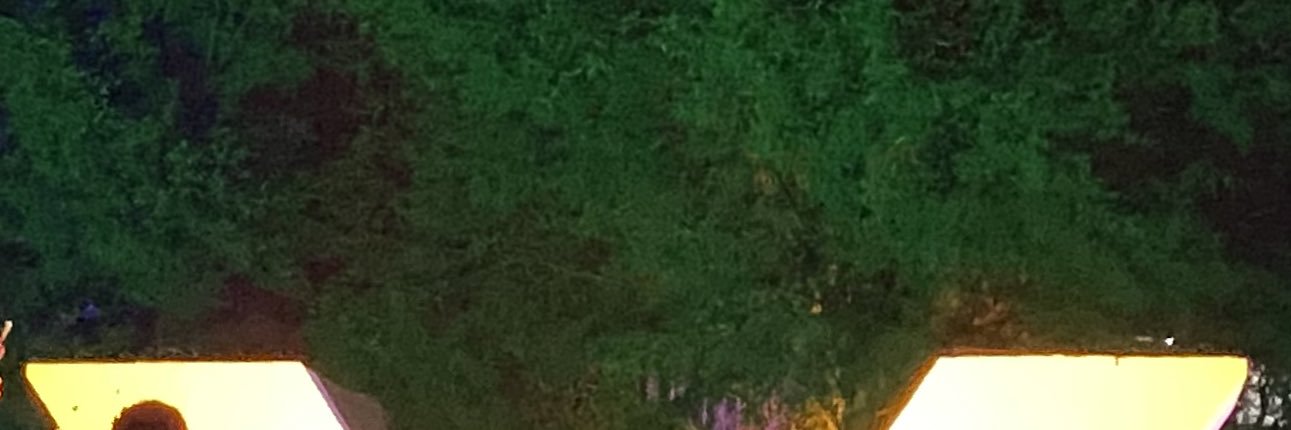 CaelinTaylor3's profile banner image