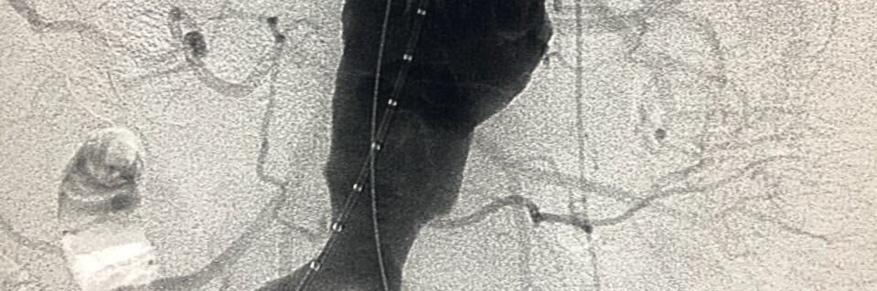 Homero Ramírez G. banner