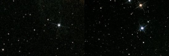 patt banner