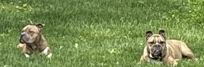 Scarpacci75's profile banner image