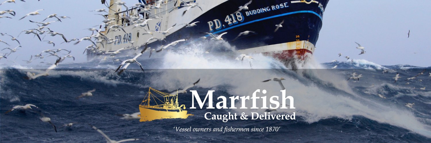 Marrfish Wholesale - Fish & Seafood Delivery banner