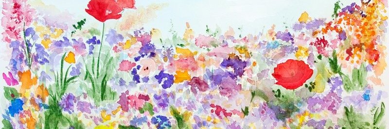 Deborahhig's profile banner image