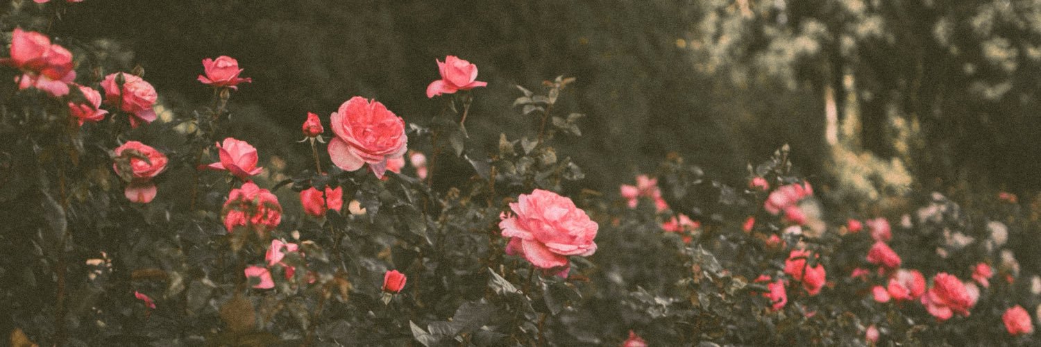 mccallbrionne's profile banner image