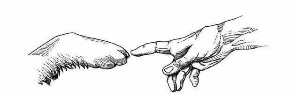 ChavezG__'s profile banner image