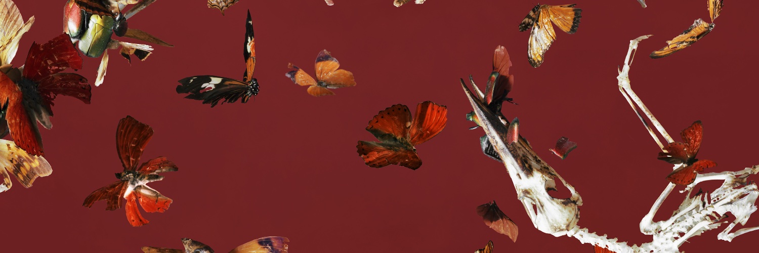 tarasellios's profile banner image