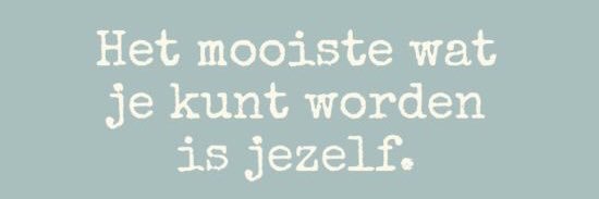 Nel banner