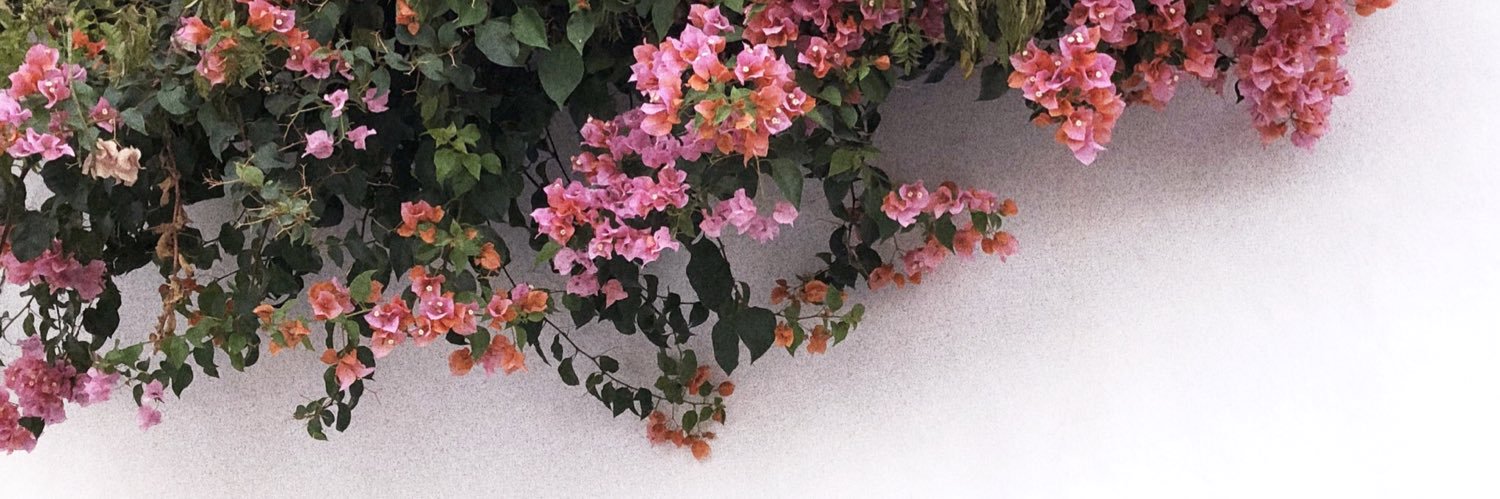 ineeescc's profile banner image
