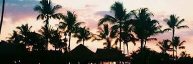 . banner