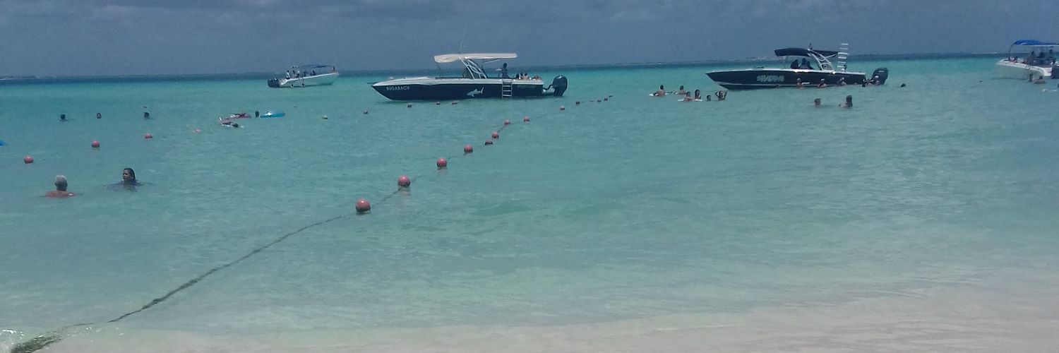 The_Rex 🏈🏈 banner