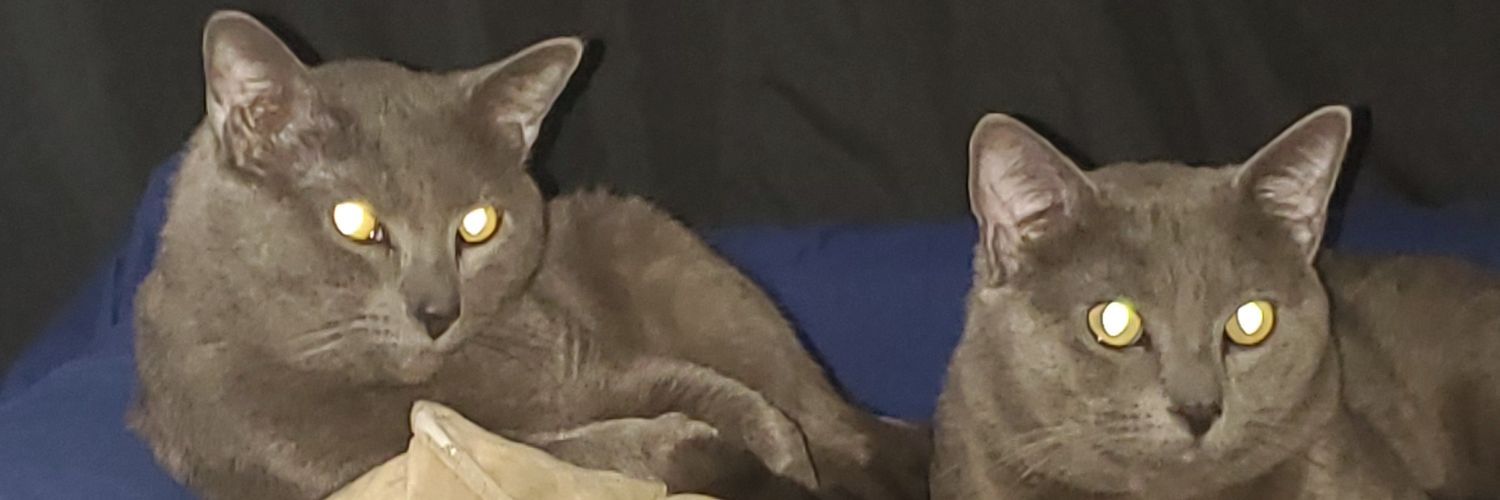 morenverca's profile banner image