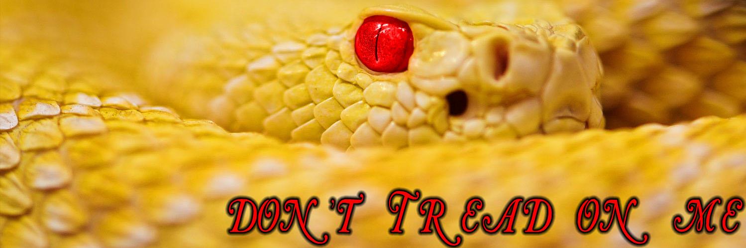 CuringStupid's profile banner image
