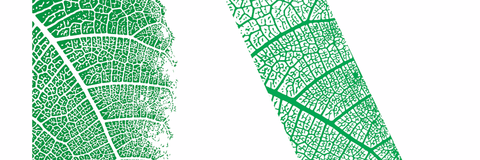 StephanAuberger's profile banner image