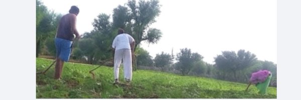 bhawanikealash2 Profile Banner
