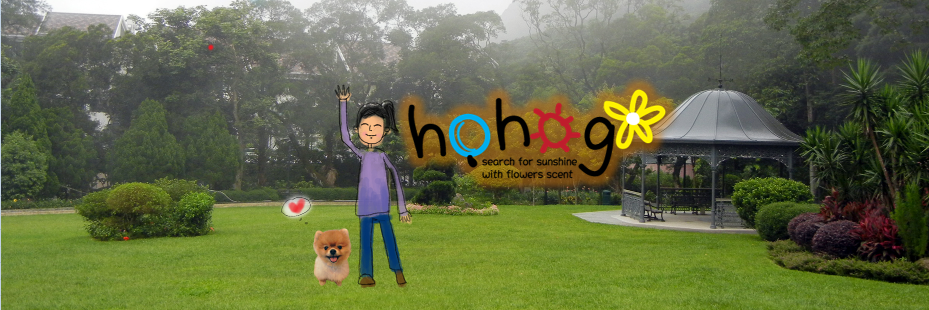 HoHoGoExperienc's profile banner image
