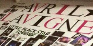 echinovia's profile banner image