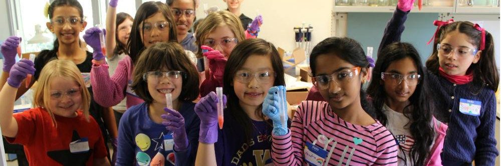 StemBox banner