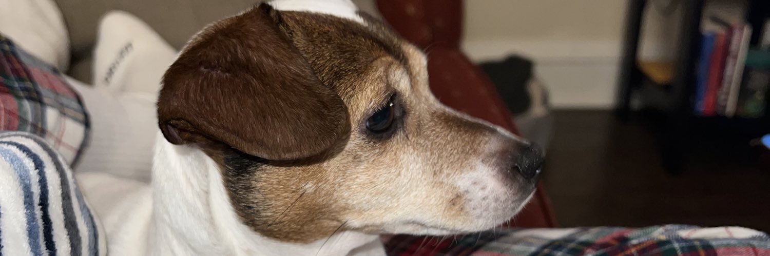 TequilaTackett's profile banner image