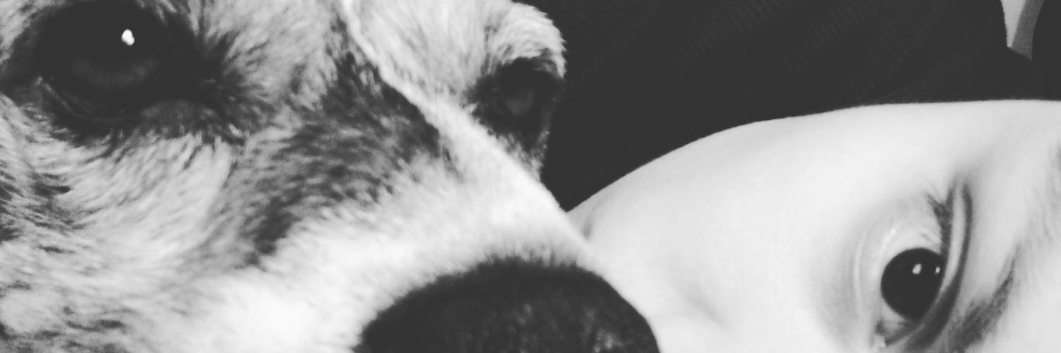eliavelu's profile banner image