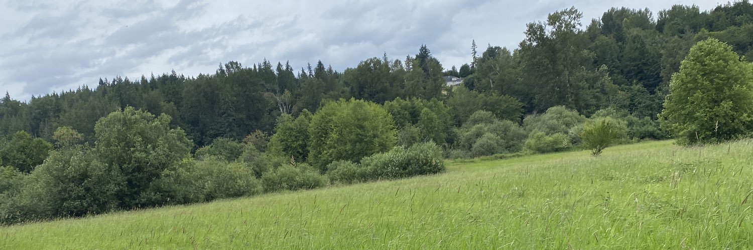 essentialjenni's profile banner image