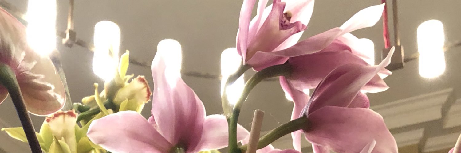 Lorraine Wright banner