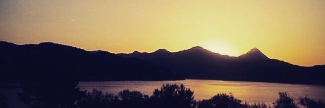 Polvos_14's profile banner image