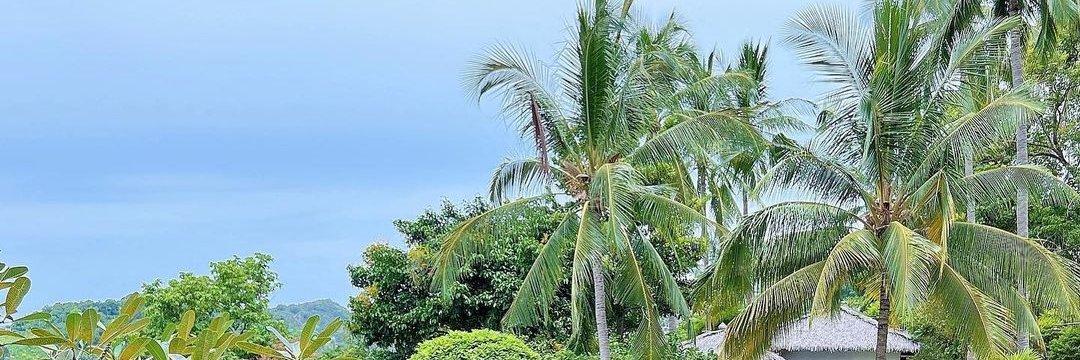 LisaOnem's profile banner image