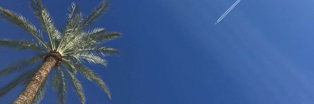 donnabloor's profile banner image