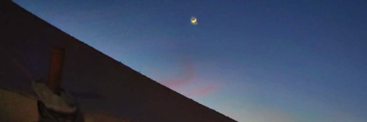 M_G_L_D's profile banner image