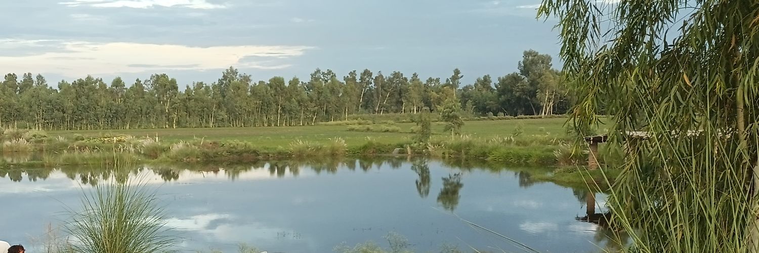 CashifRehman's profile banner image